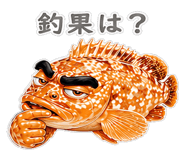 856156087