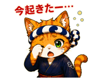 856156333