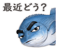 856156506