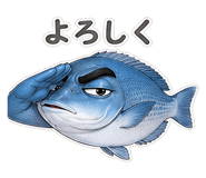 856156507