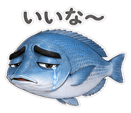 856156508