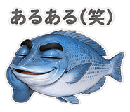 856156513