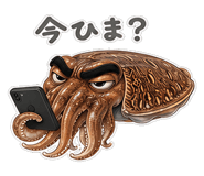 856156561