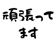 856157756