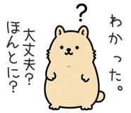 856158234