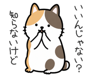 856158240