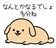 856158251