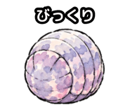 856159498