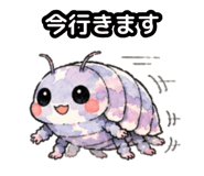 856159499