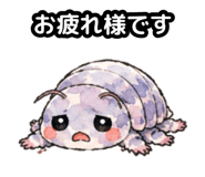856159501