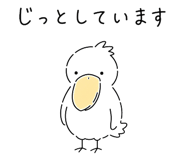 856159669