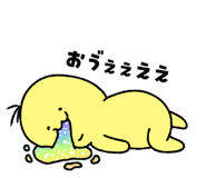 856160243