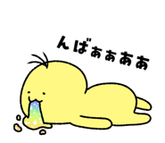 856160244