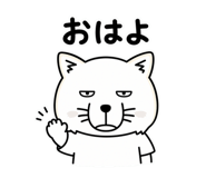 856161081