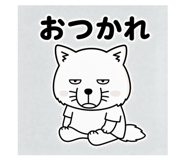 856161102