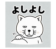 856161107