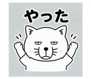 856161118