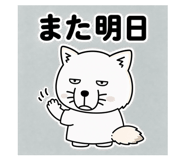856161120