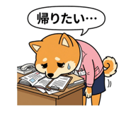 856161547