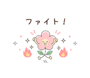856162001
