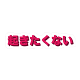 856162037