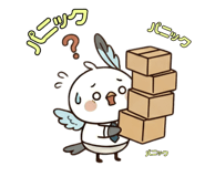 856162951