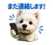 856163334