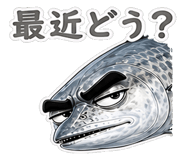 856163674