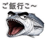 856163678