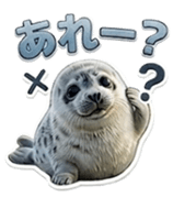 856163982