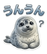 856163984