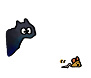 856166484