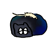 856166491