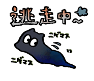 856166493