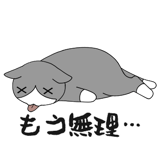 856166838