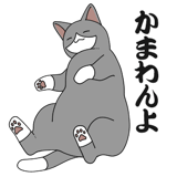 856166843
