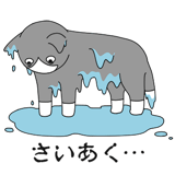 856166846