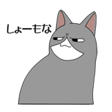 856166849