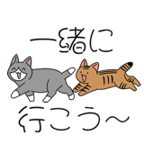 856166854
