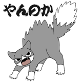 856166857