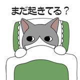 856166863