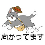 856166867