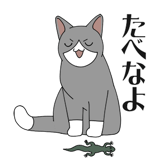 856166869