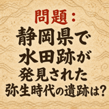 856167532