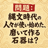 856167558
