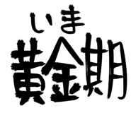 856168106
