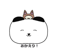 856168181