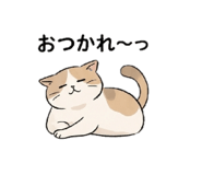 856168754