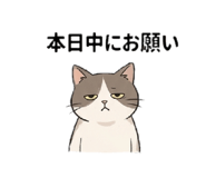 856168759