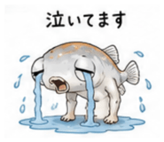 856169126
